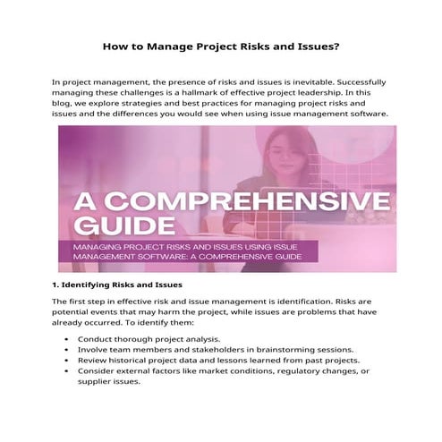 How to Manage Project Risks and Issues ?