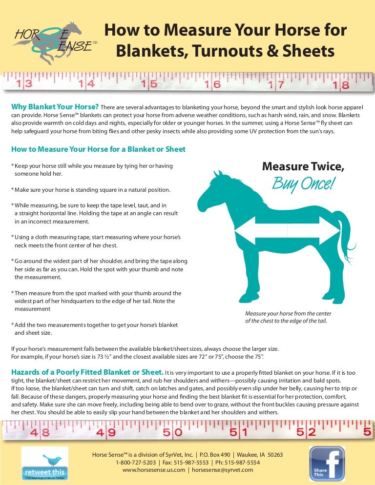 How to measure your horse for a blanket
