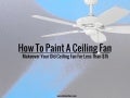 Ceiling Fan Direction for Summer and Winter
