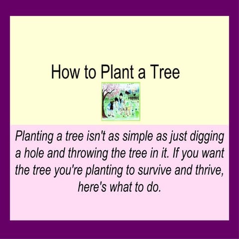 How To Plant A Tree