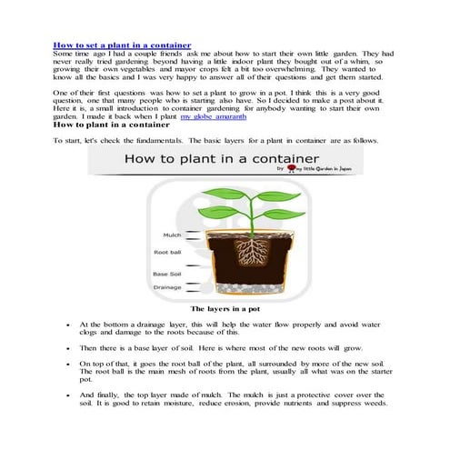 How to plant  indoor  plants in containers