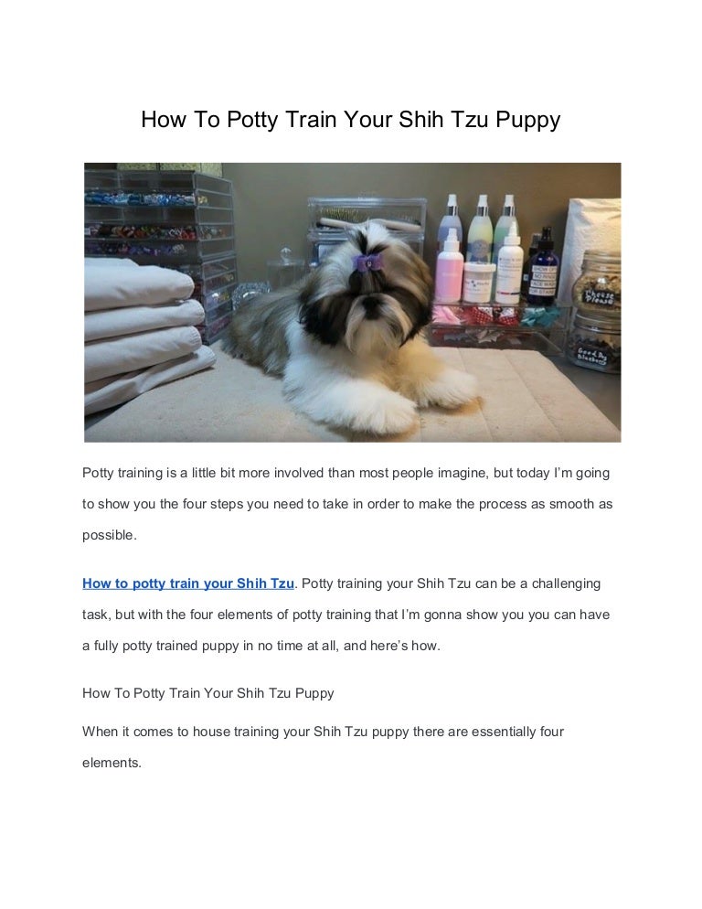 How to potty train your shih tzu puppy