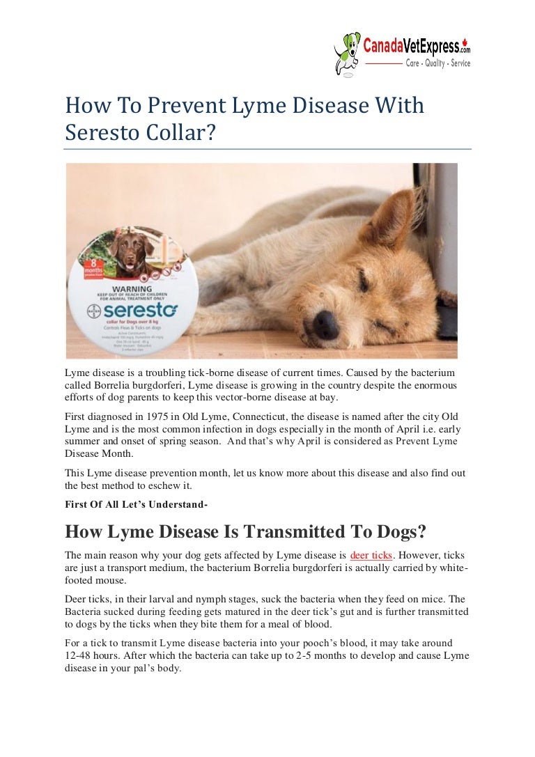 seresto collar canada