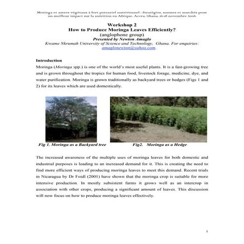 moringa cultivation | PPTX