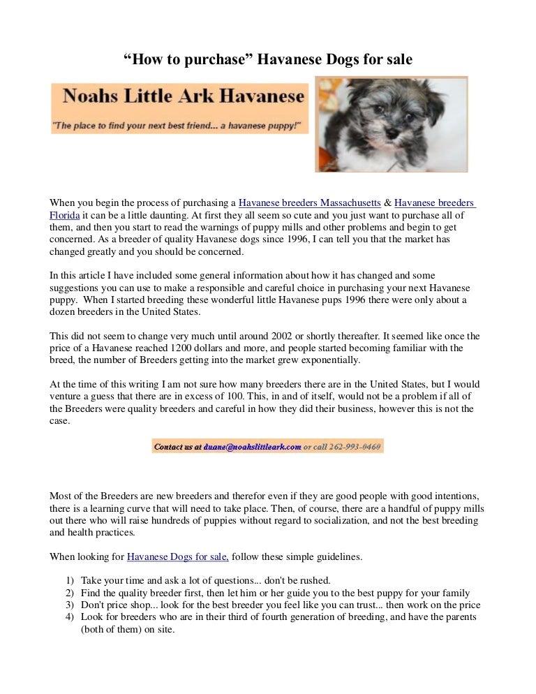 best havanese breeders