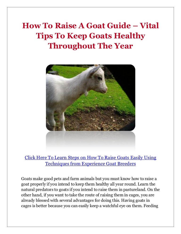 How To Raise A Goat Guide Vital Tips To Keep Goats Healthy Througho…