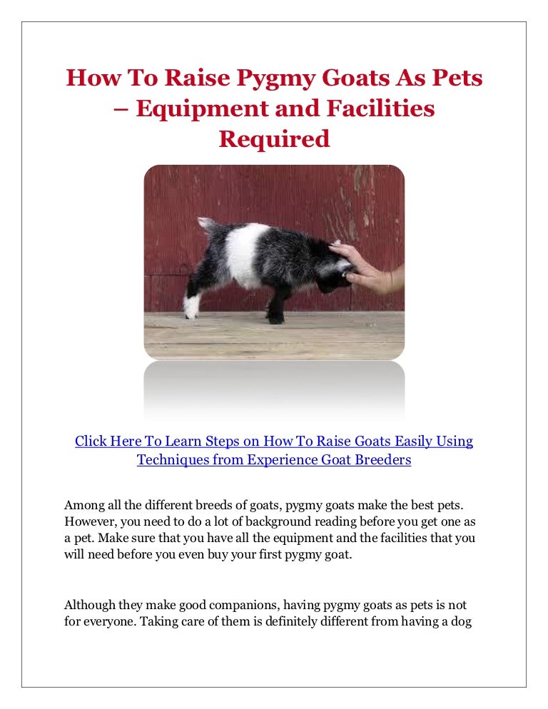 How To Raise Pygmy Goats As Pets Equipment and Facilities Required