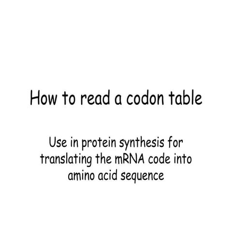 Codon Table