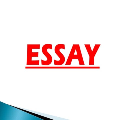 What is Essay