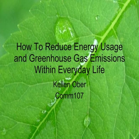 How to reduce energy usage within everyday life.pdf