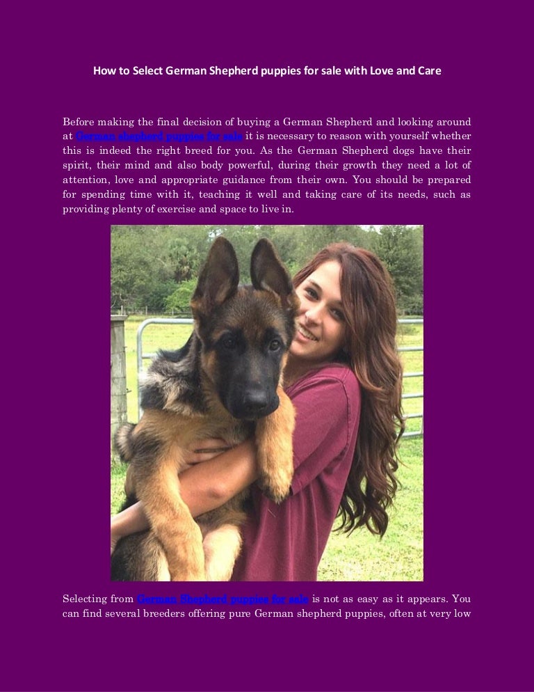 german shepherd puppies for sale by breeders