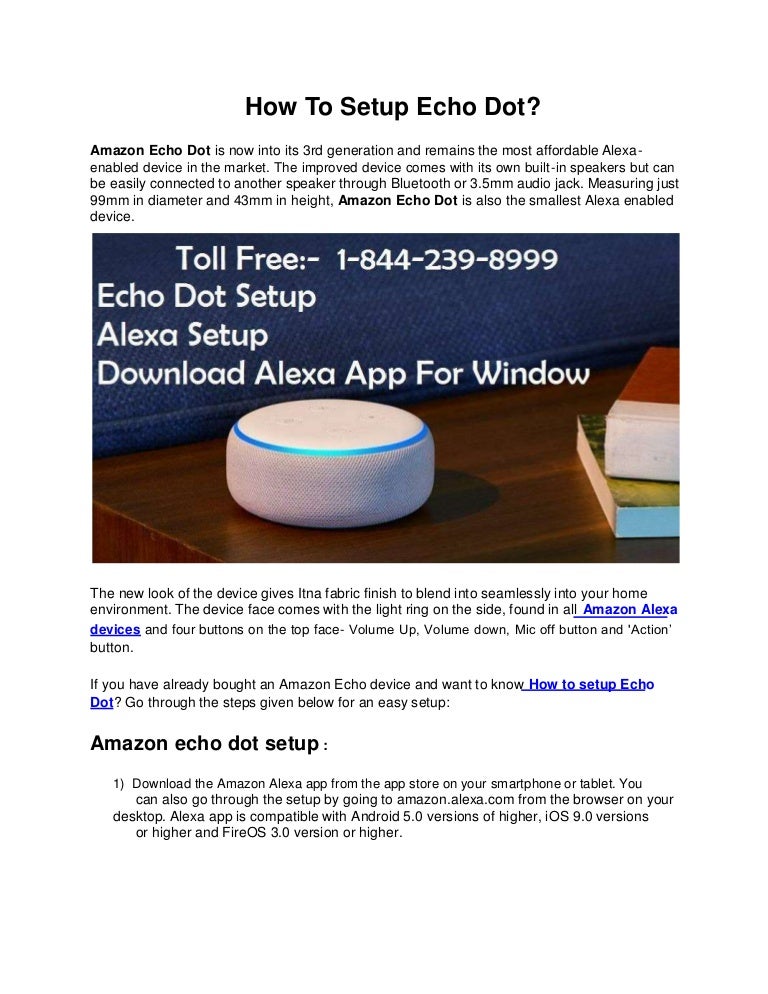 can echo dot work on its own