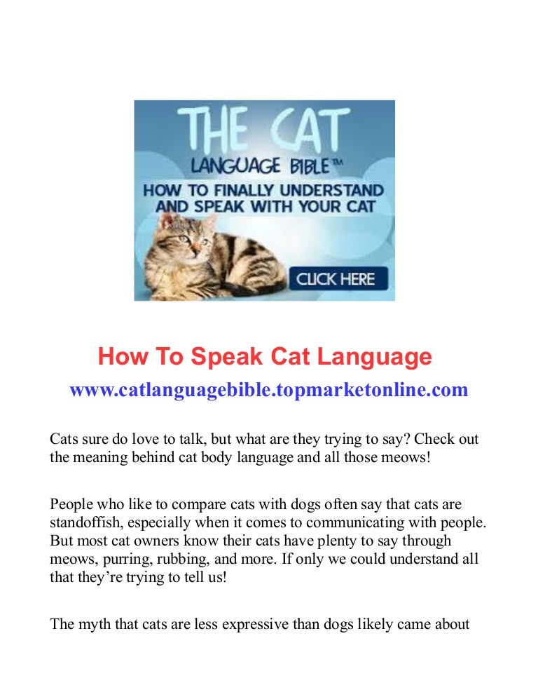 How To Speak Cat Language