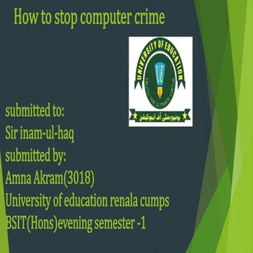 How to stop computer crime