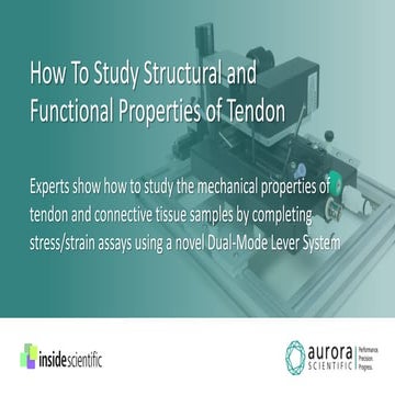 How To Study Structural and Functional Properties of Tendon | PDF