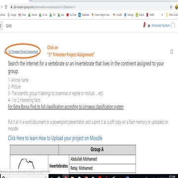 How to submit your project on moodle
