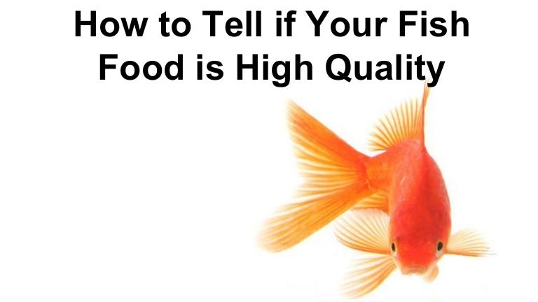high quality goldfish food