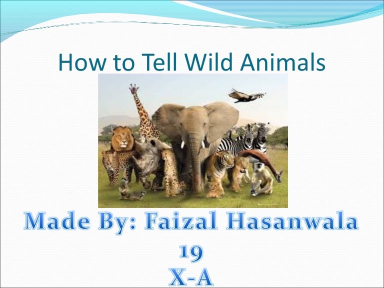 How to tell wild animals