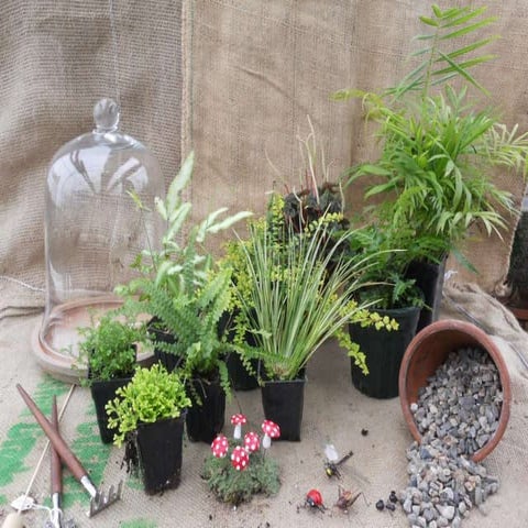 How to make a terrarium with Emily at Snug Harbor Farm