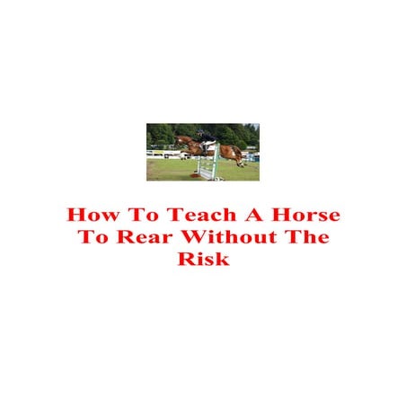 How To Train A Horse To Rear | PDF