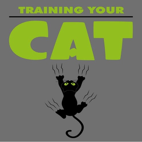 How To Train Your Cat 