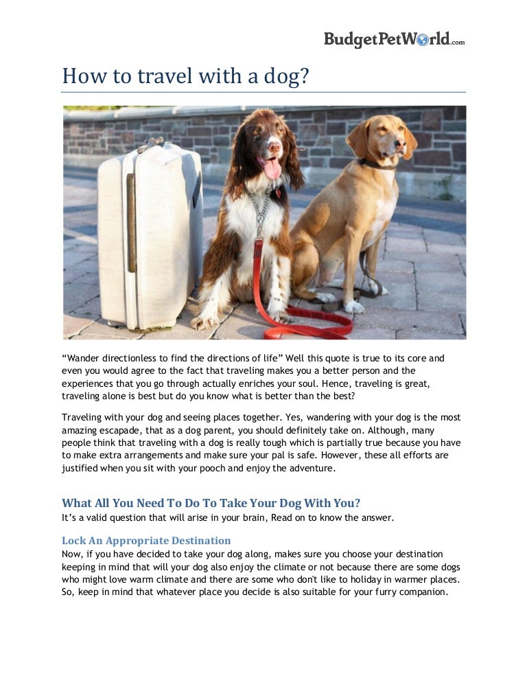 places to take your dog