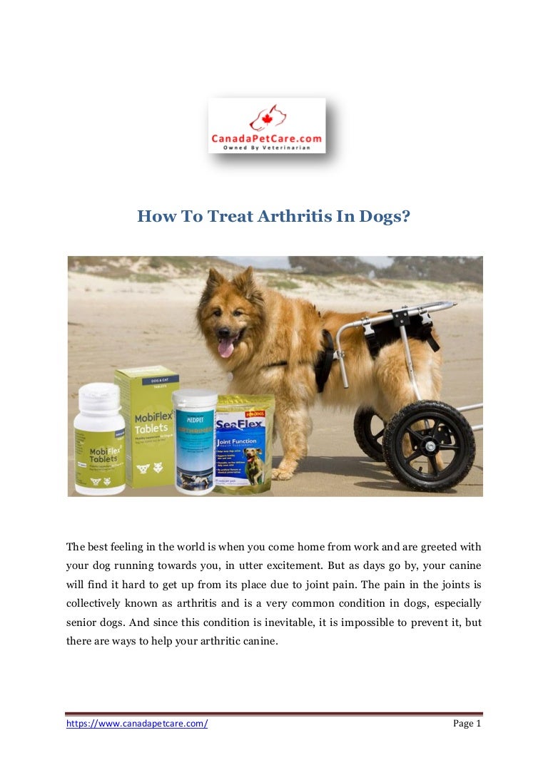 How to treat arthritis in dogs