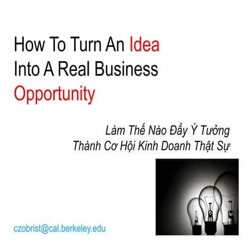 How to turn an idea into bz opportunity final