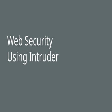 How to use Burpe Suite Intruder for beginner
