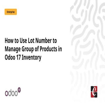 How to Use Lot Number to Manage Group of Products in Odoo 17 Inventory