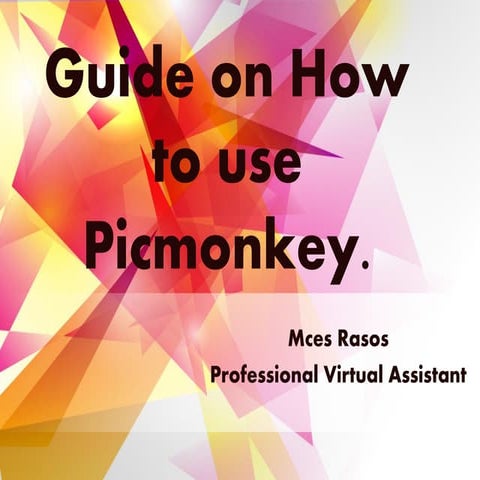 Guide on How to Use Picmonkey