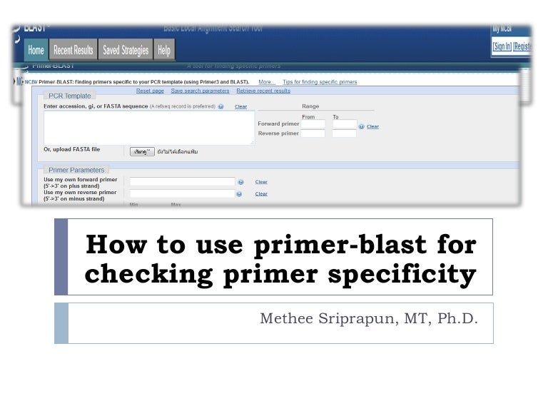 How to use primer blast for checking primer specificity