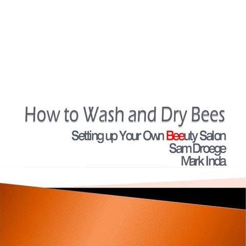 How To Wash  Bees