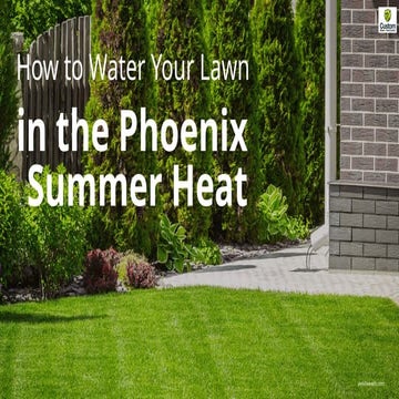 How to Water Your Lawn in the Phoenix Summer Heat