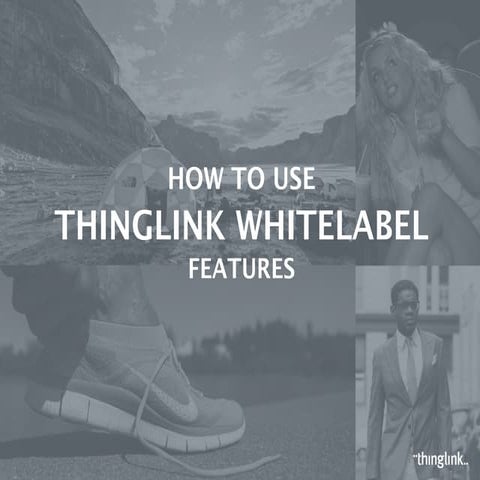 How to ThingLink Whitelabel features