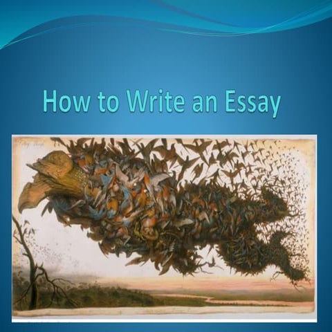 How to write and essay