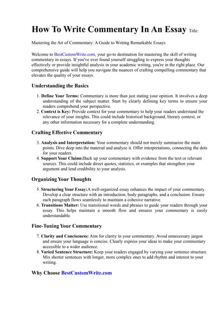 How To Write Commentary In An Essay | PDF