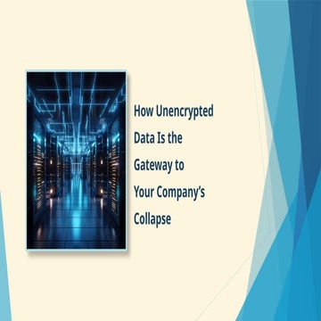 Importance of Data Security for Business | PDF