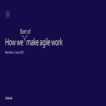 How we Sort of Make Agile Work - A Case Study
