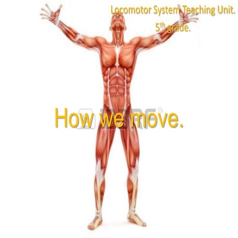 How does my body move? | PPTX