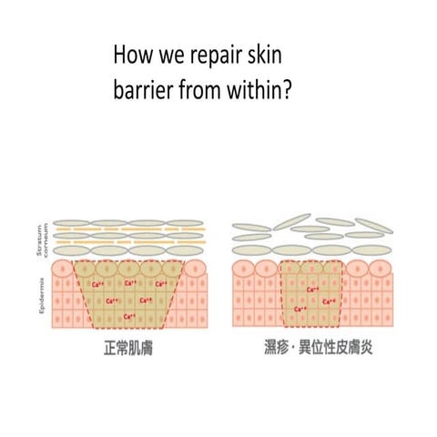 How we repair from within animation | KEY