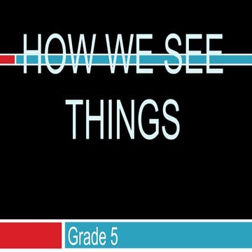 How we see things (grade 5)