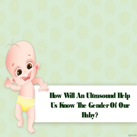 16 week gender scan | PPT
