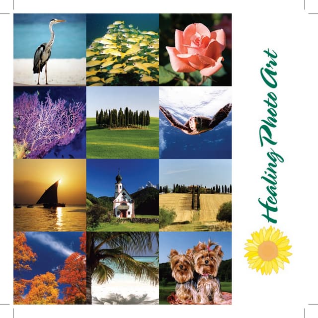 Healing Photo Art Brochure