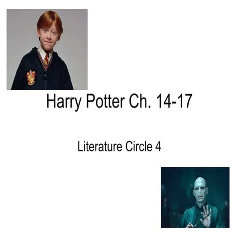 HP Literature Circle General Guide 4