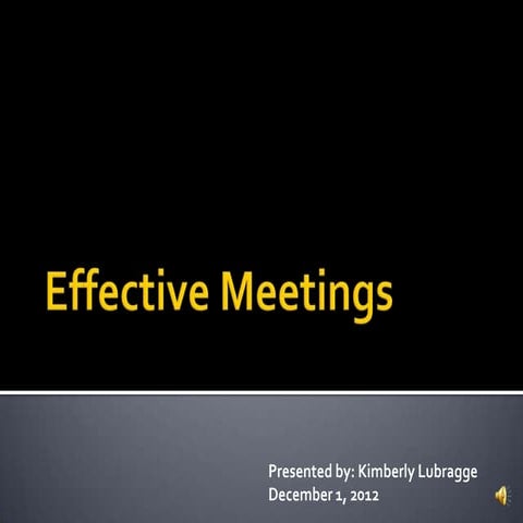 Hpm354 effective meetings k lubragge 12.1.12