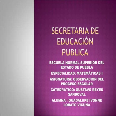 LA VIDA DE LOS ADOLESCENTES EN LA ESCUELA SECUNDARIA