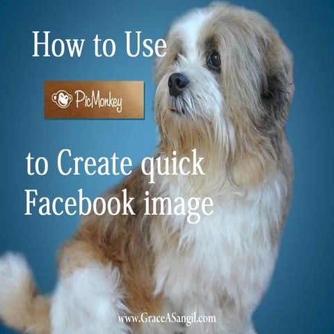 Hpw to use pic monkey to edit images