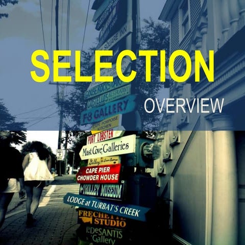 Selection Overview Human Resource Management 