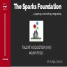 HUMAN RESOURCE INTERNSHIP AT SPARKS FOUNDATION